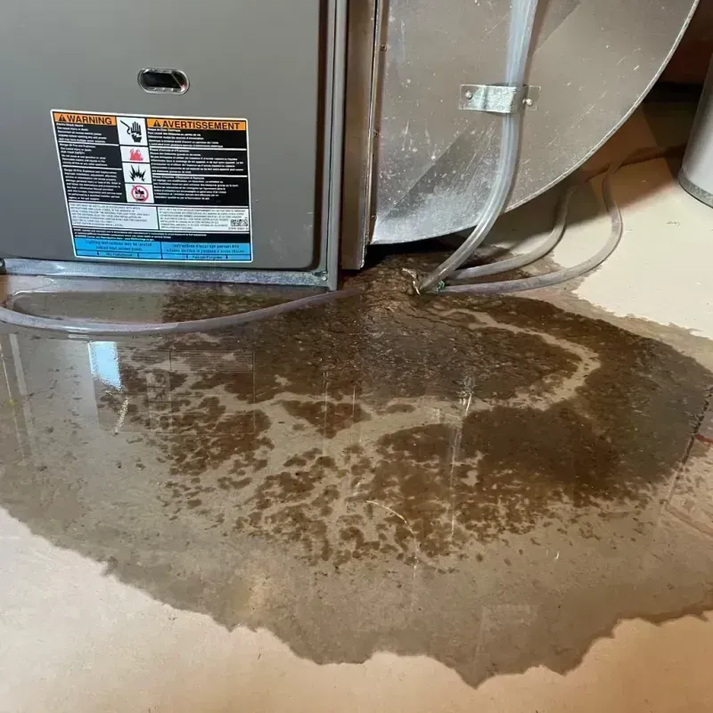 Appliance Leak Cleanup in Des Plaines, IL